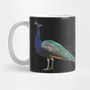 Crayon Peacock Mug